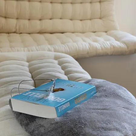 Coeur De Briquettes Apartment *